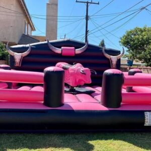 Mechanical Bull