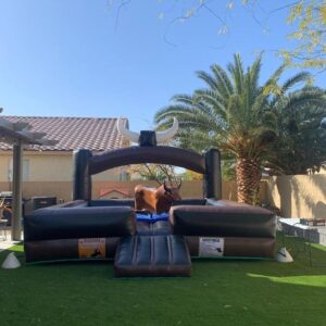 Mechanical Bull