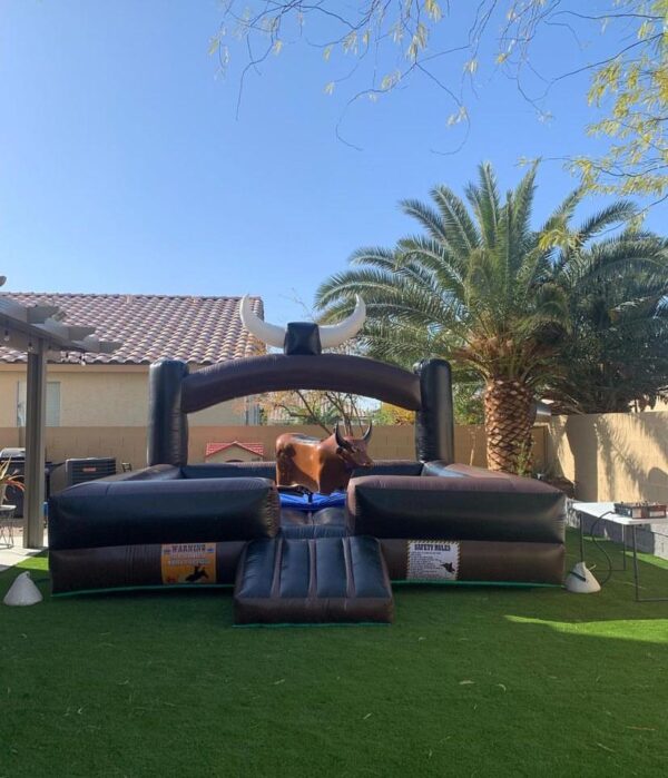 Mechanical Bull