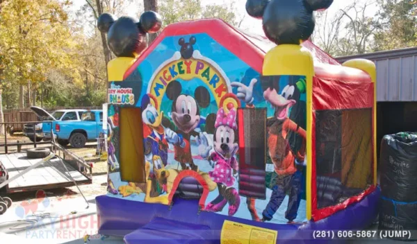 Mickey Mouse Park & Friends - Image 3
