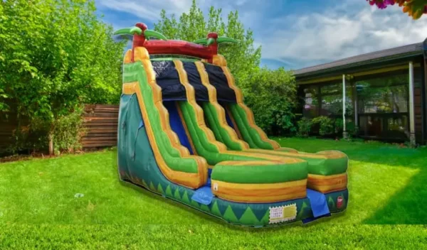 palm-tree-dual-lane-water-slide