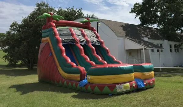 palm-tree-dual-lane-water-slide